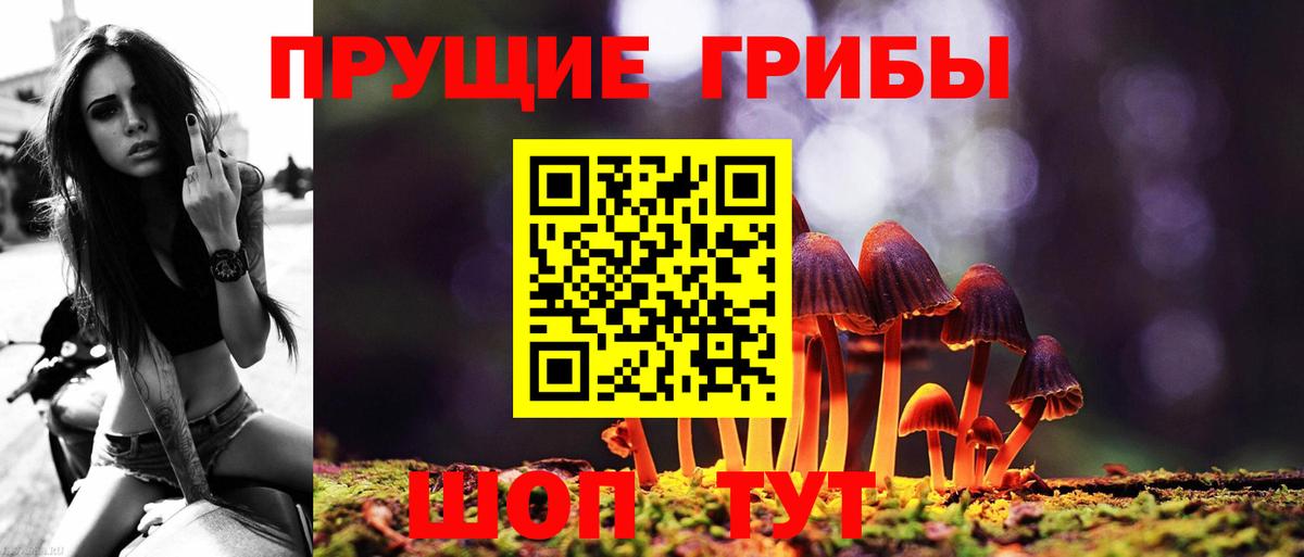 Псилоцибиновые грибы мицелий  Псилоцибиновые грибы мухоморы  Вход с VPN  Томск 